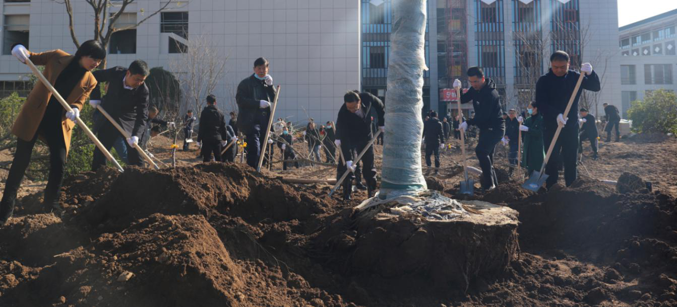久久久www成人免费无遮挡大片